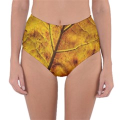 Leaf Leaf Veins Fall Reversible High-waist Bikini Bottoms by artworkshop