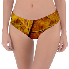 Leaf Leaf Veins Fall Reversible Classic Bikini Bottoms by artworkshop