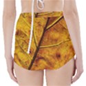 Leaf Leaf Veins Fall High-Waisted Bikini Bottoms View2