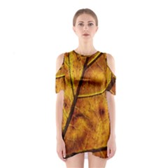 Leaf Leaf Veins Fall Shoulder Cutout One Piece Dress by artworkshop