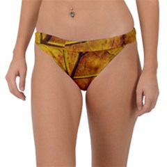 Leaf Leaf Veins Fall Band Bikini Bottom by artworkshop