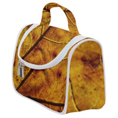 Leaf Leaf Veins Fall Satchel Handbag by artworkshop