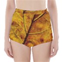 Leaf Leaf Veins Fall High-Waisted Bikini Bottoms View1