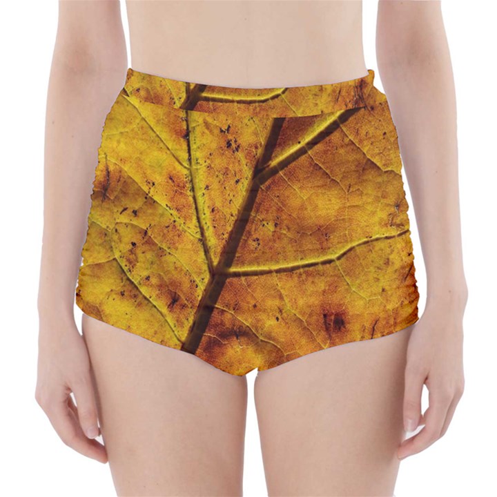 Leaf Leaf Veins Fall High-Waisted Bikini Bottoms