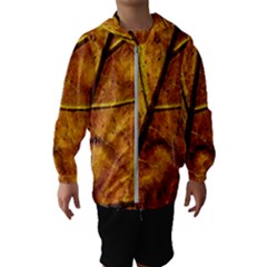 Leaf Leaf Veins Fall Kids  Hooded Windbreaker by artworkshop