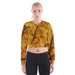 Leaf Leaf Veins Fall Cropped Sweatshirt by artworkshop