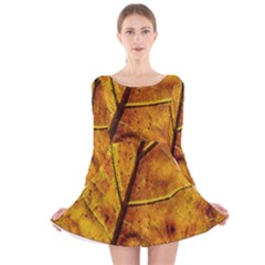 Leaf Leaf Veins Fall Long Sleeve Velvet Skater Dress by artworkshop