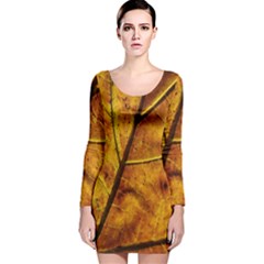 Leaf Leaf Veins Fall Long Sleeve Velvet Bodycon Dress by artworkshop