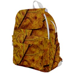 Leaf Leaf Veins Fall Top Flap Backpack by artworkshop