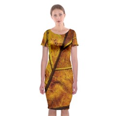 Leaf Leaf Veins Fall Classic Short Sleeve Midi Dress by artworkshop