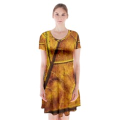 Leaf Leaf Veins Fall Short Sleeve V-neck Flare Dress by artworkshop