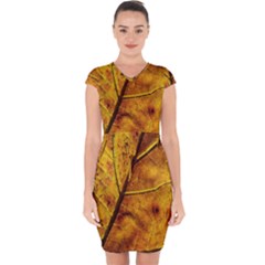 Leaf Leaf Veins Fall Capsleeve Drawstring Dress  by artworkshop