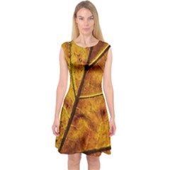 Leaf Leaf Veins Fall Capsleeve Midi Dress by artworkshop