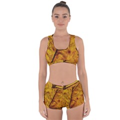 Leaf Leaf Veins Fall Racerback Boyleg Bikini Set by artworkshop