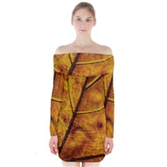 Leaf Leaf Veins Fall Long Sleeve Off Shoulder Dress by artworkshop