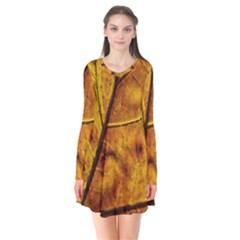 Leaf Leaf Veins Fall Long Sleeve V-neck Flare Dress by artworkshop