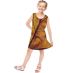 Leaf Leaf Veins Fall Kids  Tunic Dress by artworkshop