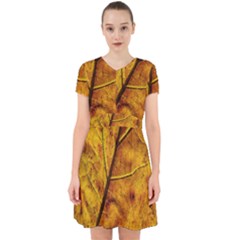 Leaf Leaf Veins Fall Adorable In Chiffon Dress by artworkshop