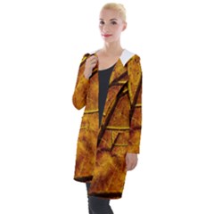 Leaf Leaf Veins Fall Hooded Pocket Cardigan by artworkshop