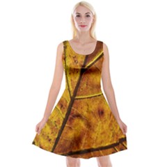 Leaf Leaf Veins Fall Reversible Velvet Sleeveless Dress by artworkshop