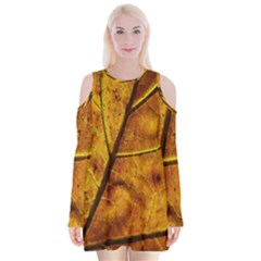 Leaf Leaf Veins Fall Velvet Long Sleeve Shoulder Cutout Dress by artworkshop