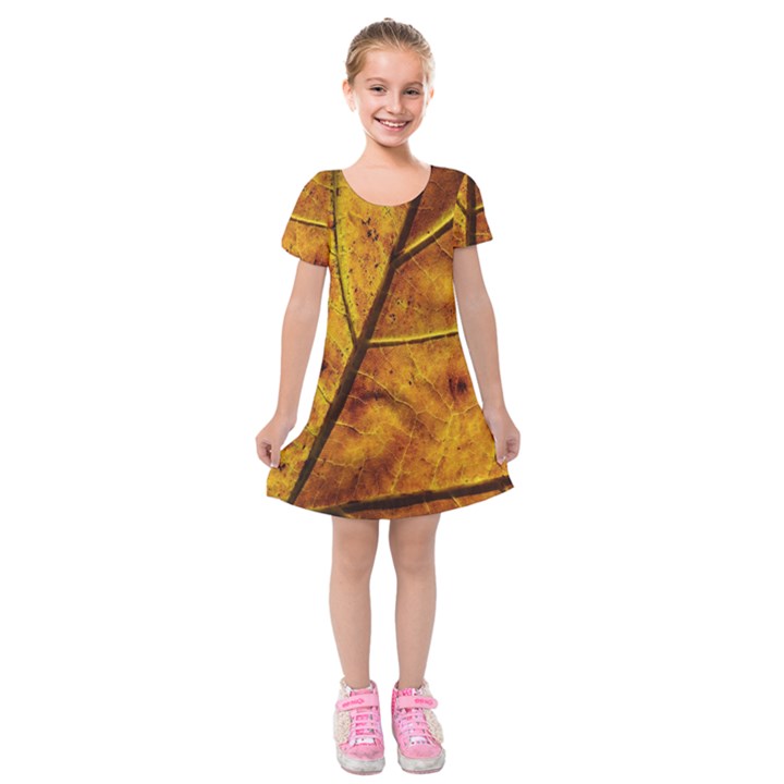 Leaf Leaf Veins Fall Kids  Short Sleeve Velvet Dress