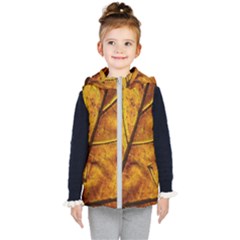 Leaf Leaf Veins Fall Kids  Hooded Puffer Vest by artworkshop