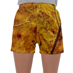 Leaf Leaf Veins Fall Sleepwear Shorts by artworkshop