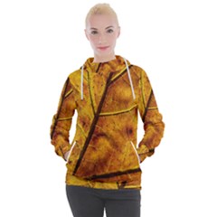 Leaf Leaf Veins Fall Women s Hooded Pullover by artworkshop