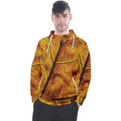 Leaf Leaf Veins Fall Men s Pullover Hoodie by artworkshop