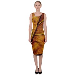 Leaf Leaf Veins Fall Sleeveless Pencil Dress by artworkshop