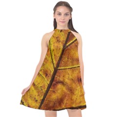 Leaf Leaf Veins Fall Halter Neckline Chiffon Dress  by artworkshop