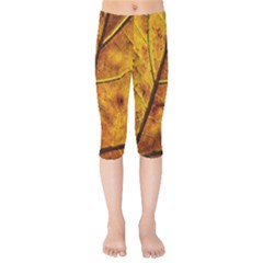 Leaf Leaf Veins Fall Kids  Capri Leggings 