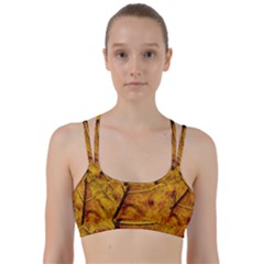 Leaf Leaf Veins Fall Line Them Up Sports Bra by artworkshop