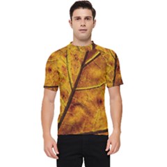 Leaf Leaf Veins Fall Men s Short Sleeve Rash Guard by artworkshop