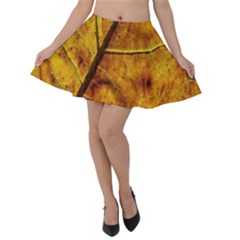 Leaf Leaf Veins Fall Velvet Skater Skirt by artworkshop