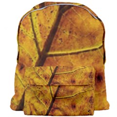 Leaf Leaf Veins Fall Giant Full Print Backpack by artworkshop