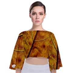 Leaf Leaf Veins Fall Tie Back Butterfly Sleeve Chiffon Top by artworkshop