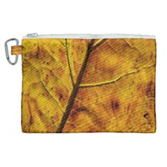 Leaf Leaf Veins Fall Canvas Cosmetic Bag (xl) by artworkshop