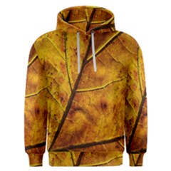 Leaf Leaf Veins Fall Men s Overhead Hoodie by artworkshop