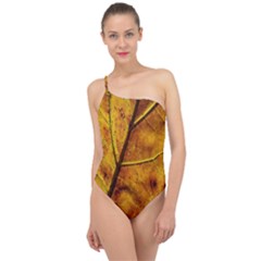 Leaf Leaf Veins Fall Classic One Shoulder Swimsuit by artworkshop