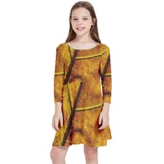 Leaf Leaf Veins Fall Kids  Quarter Sleeve Skater Dress by artworkshop