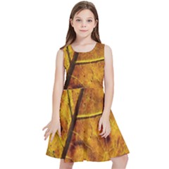 Leaf Leaf Veins Fall Kids  Skater Dress by artworkshop