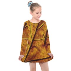 Leaf Leaf Veins Fall Kids  Long Sleeve Dress by artworkshop