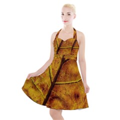 Leaf Leaf Veins Fall Halter Party Swing Dress  by artworkshop