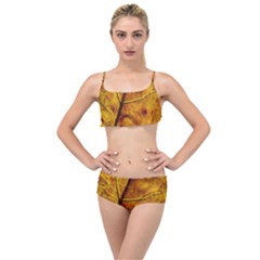 Leaf Leaf Veins Fall Layered Top Bikini Set by artworkshop