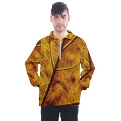 Leaf Leaf Veins Fall Men s Half Zip Pullover by artworkshop