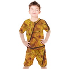 Leaf Leaf Veins Fall Kids  Tee And Shorts Set by artworkshop