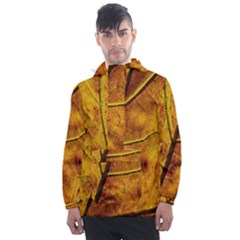 Leaf Leaf Veins Fall Men s Front Pocket Pullover Windbreaker by artworkshop