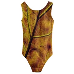 Leaf Leaf Veins Fall Kids  Cut-out Back One Piece Swimsuit by artworkshop